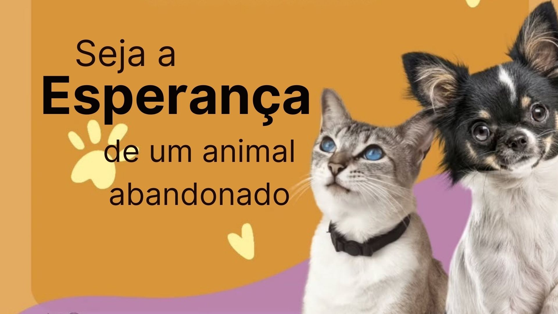 Carona solidária e ajuda para resgates 