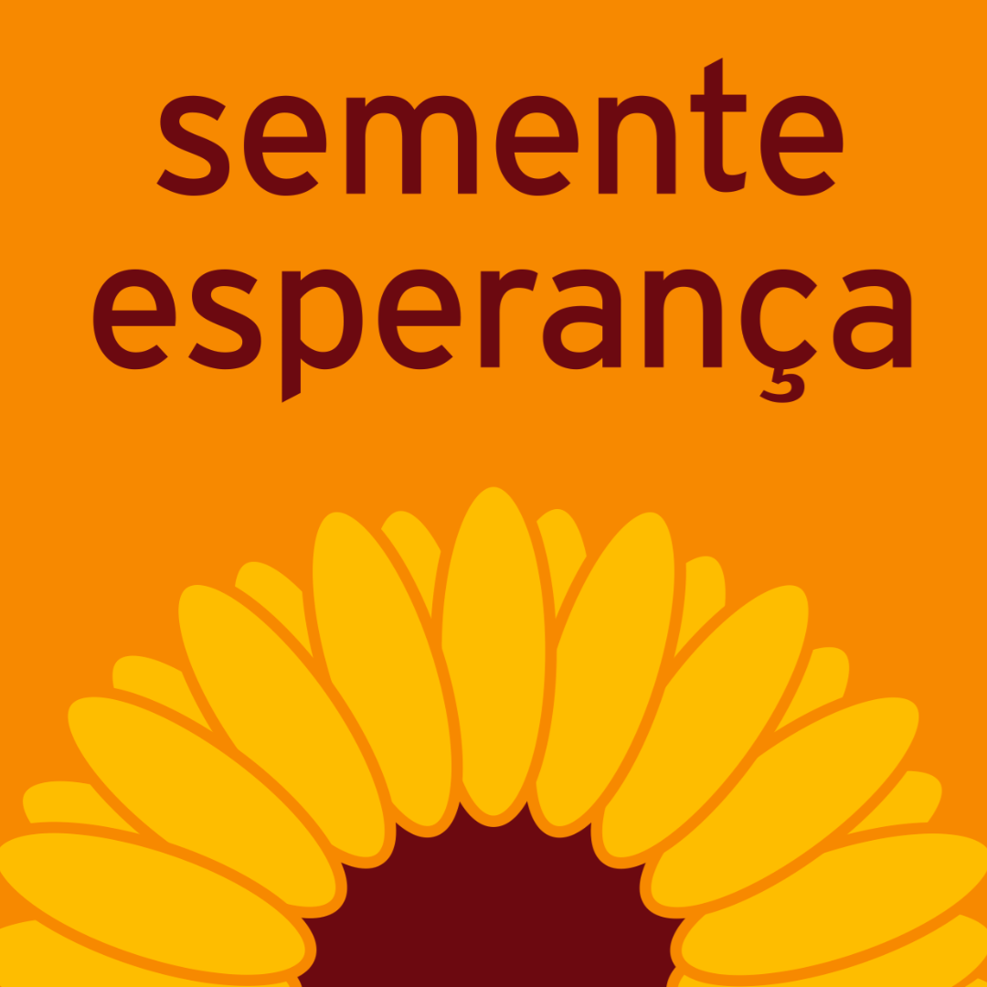 Centro Socio Educativo Semente Esperança