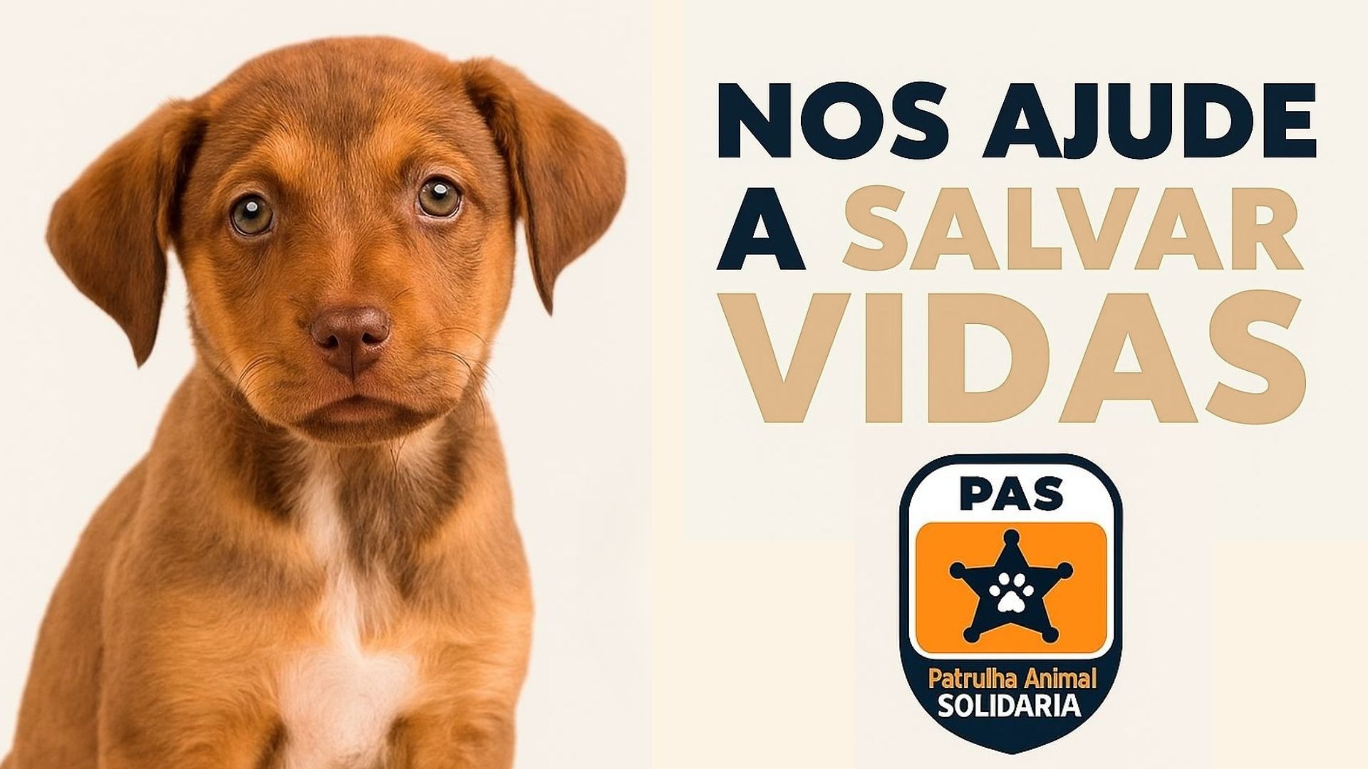 Marketing e Redes Socias