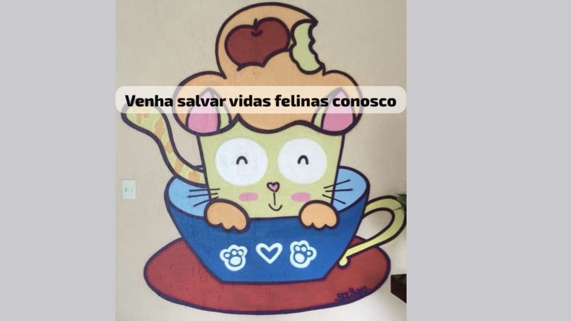 Apoio no cuidado e na limpeza