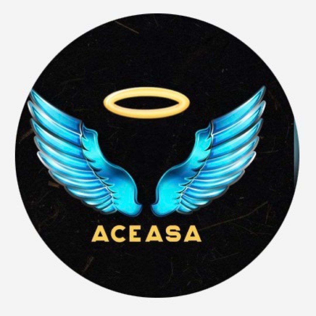 ACEASA - Associação de Cultura, Educação e Assistência Social Anjo Azul