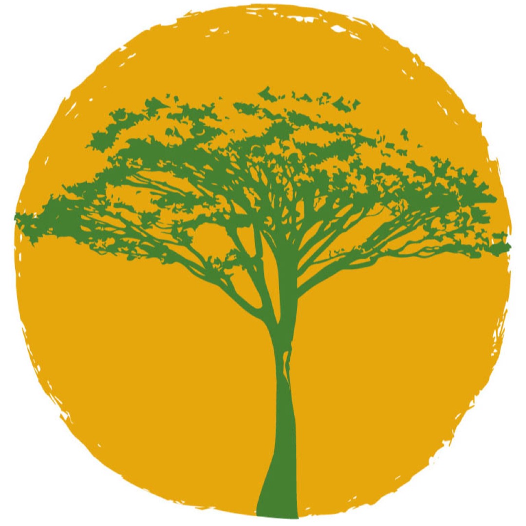 Instituto Social de Reflorestamento Guapuruvu 