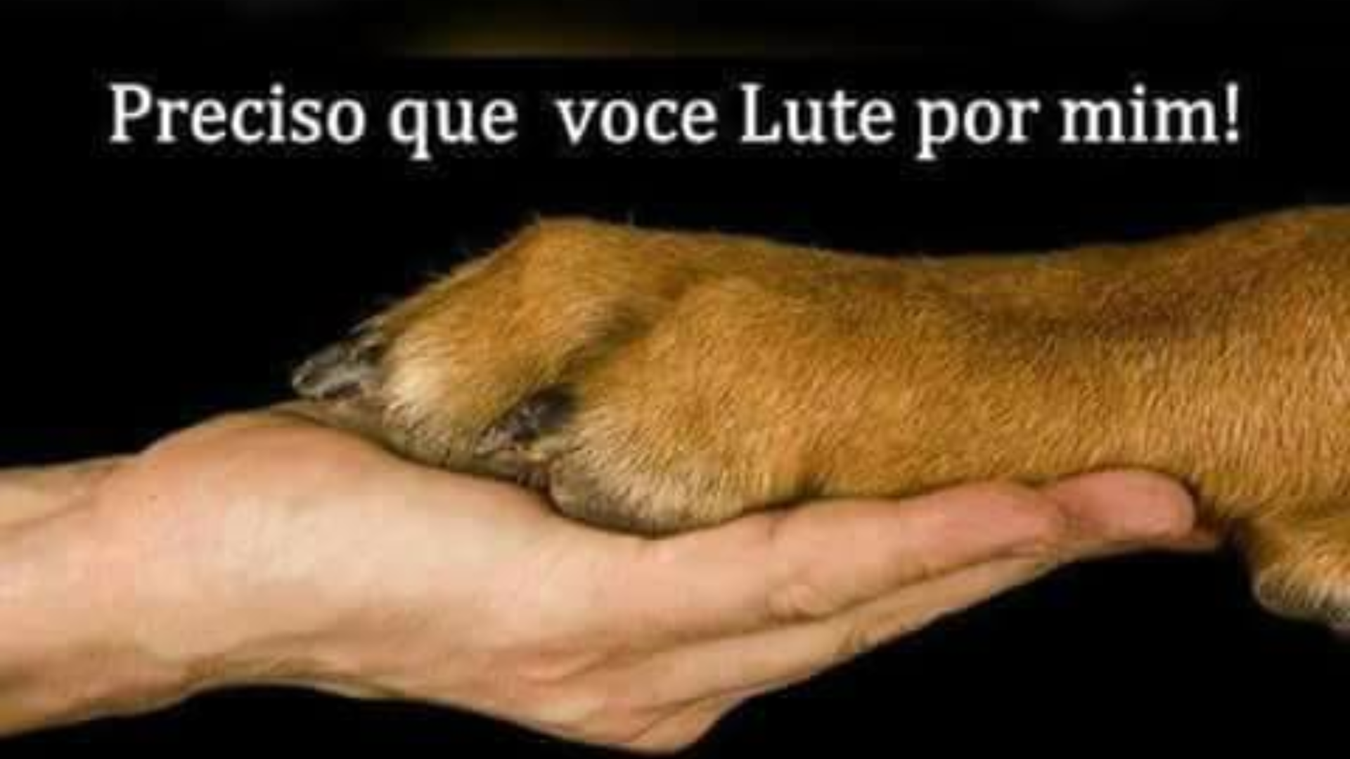 Contador voluntário