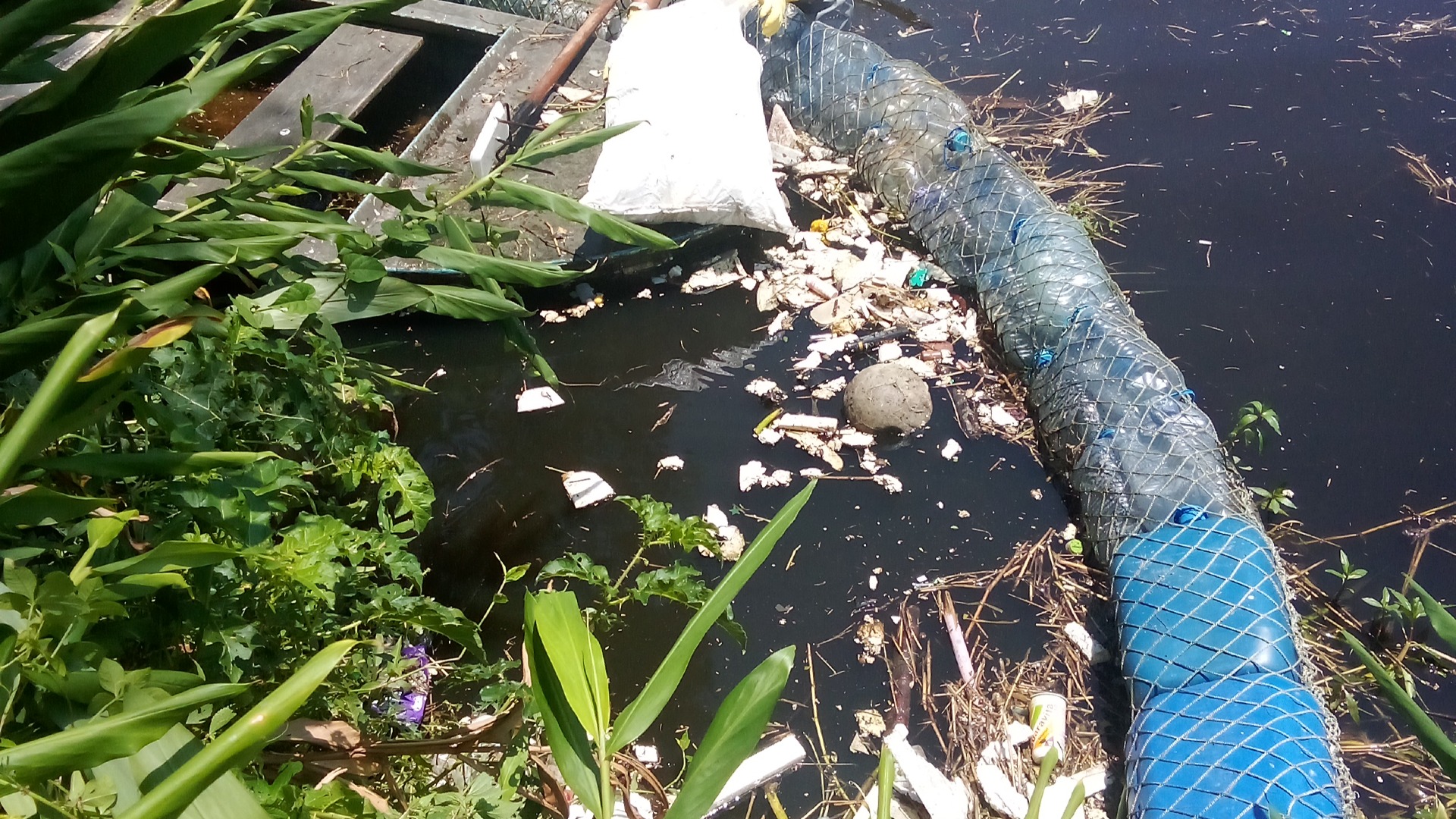 Engenheiro ambiental para desenvolver projetos buscar soluções técnicas e parecer técnico.