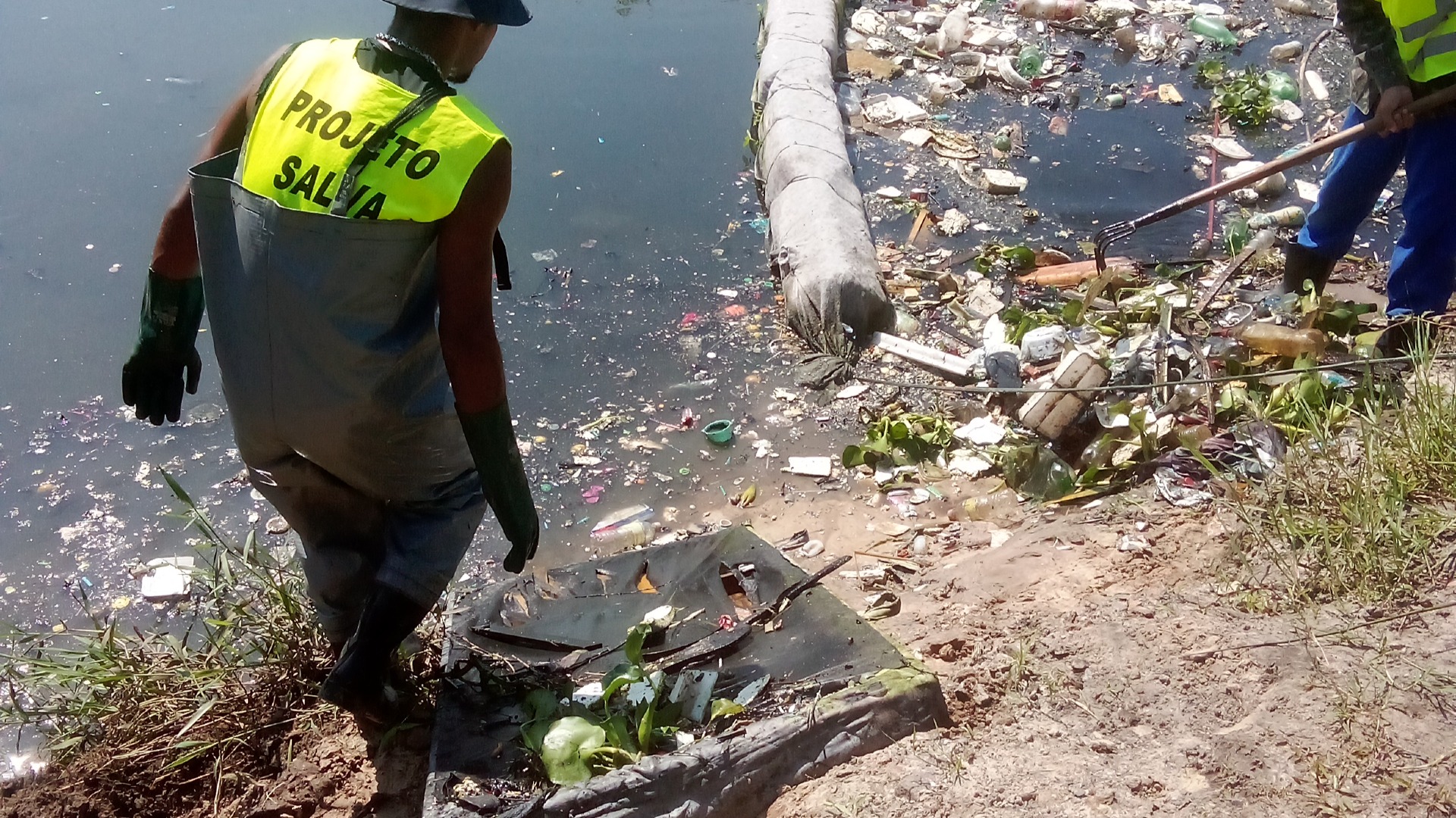 Limpeza e manutenção de ecobarreiras. 