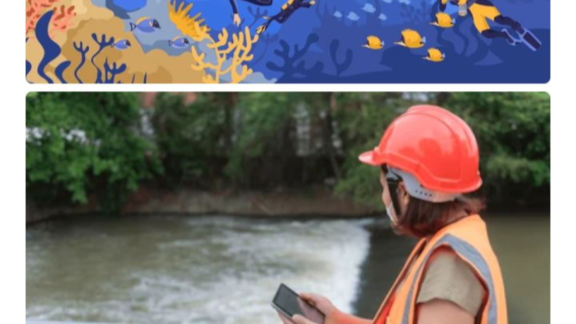 Biólogo para atuar em pesquisa e educação ambiental 