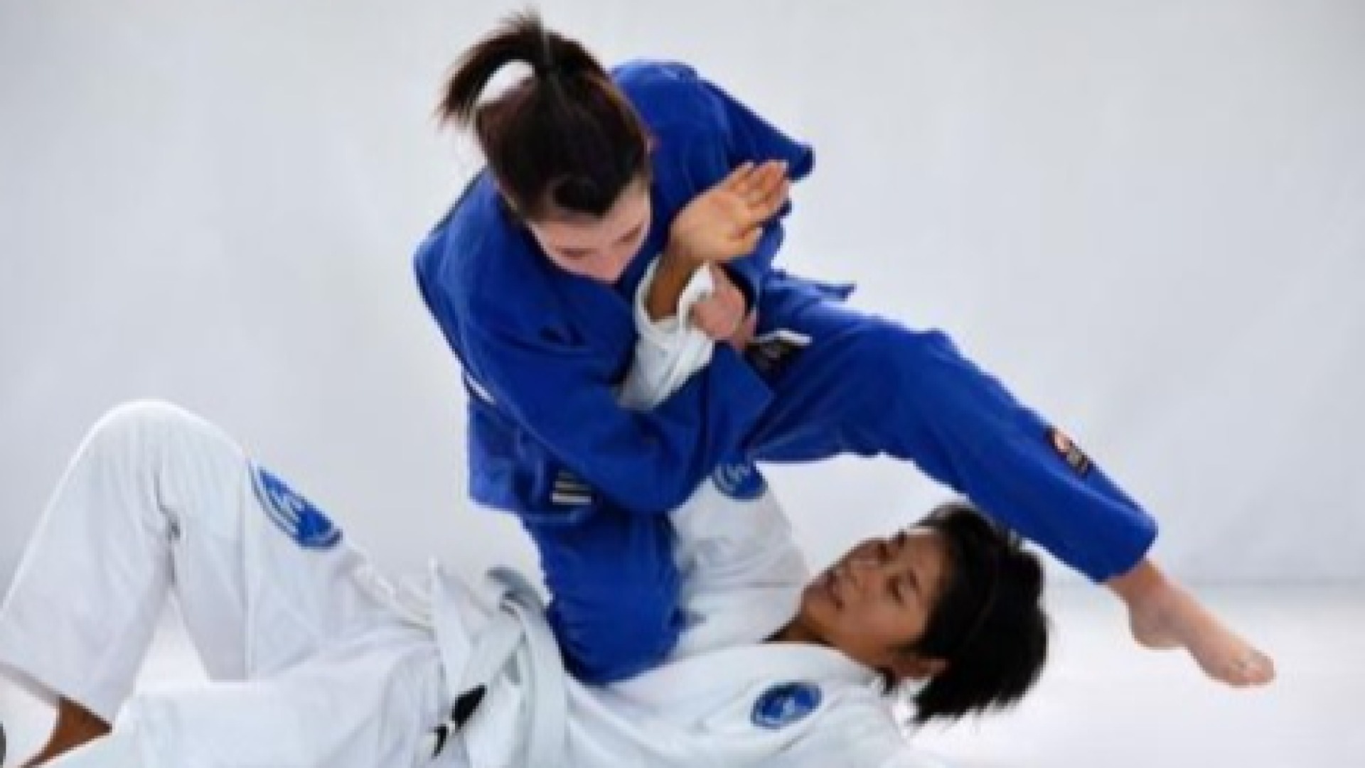 PROFESSOR (A)  DE JIU JITSU 