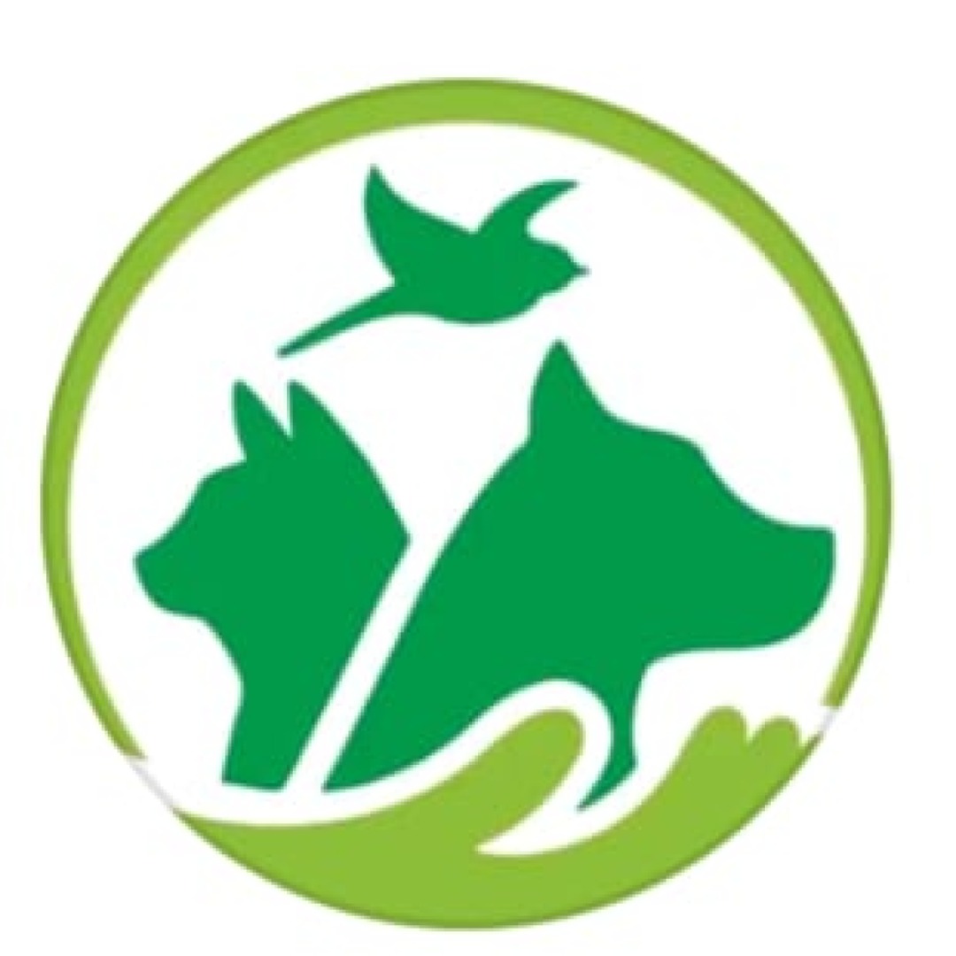 Organização dos Animais Abandonados e Maltratados 