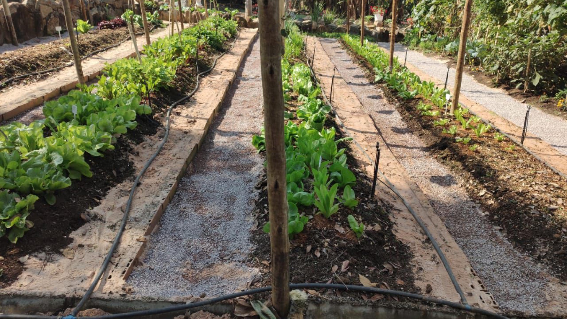 Meio Ambiente - Horticultura
