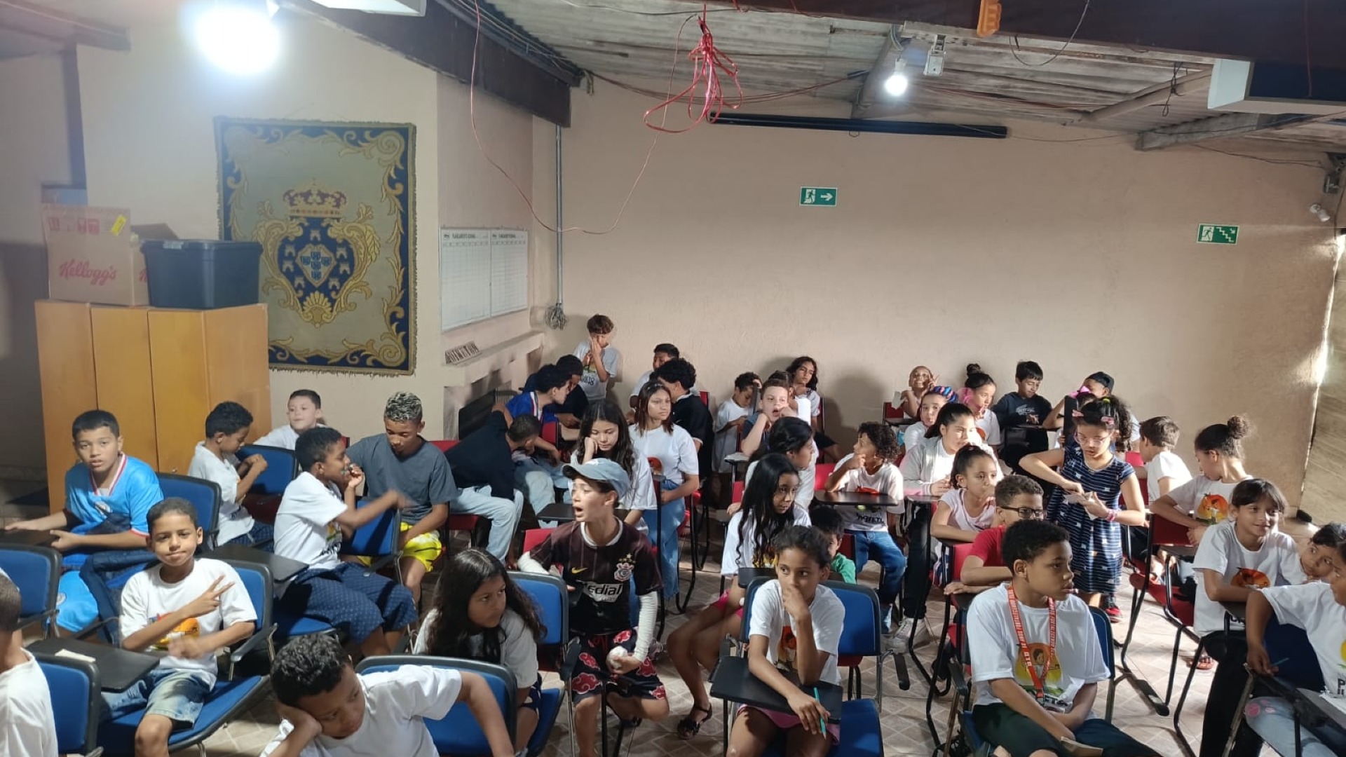 Professora (o) Oficineira (o)  cultural