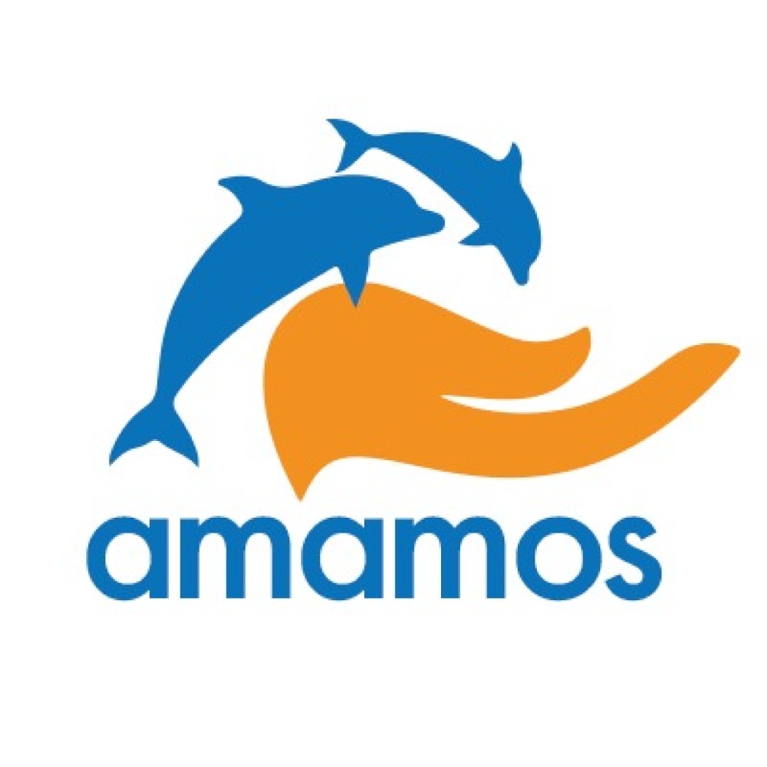 Amamos