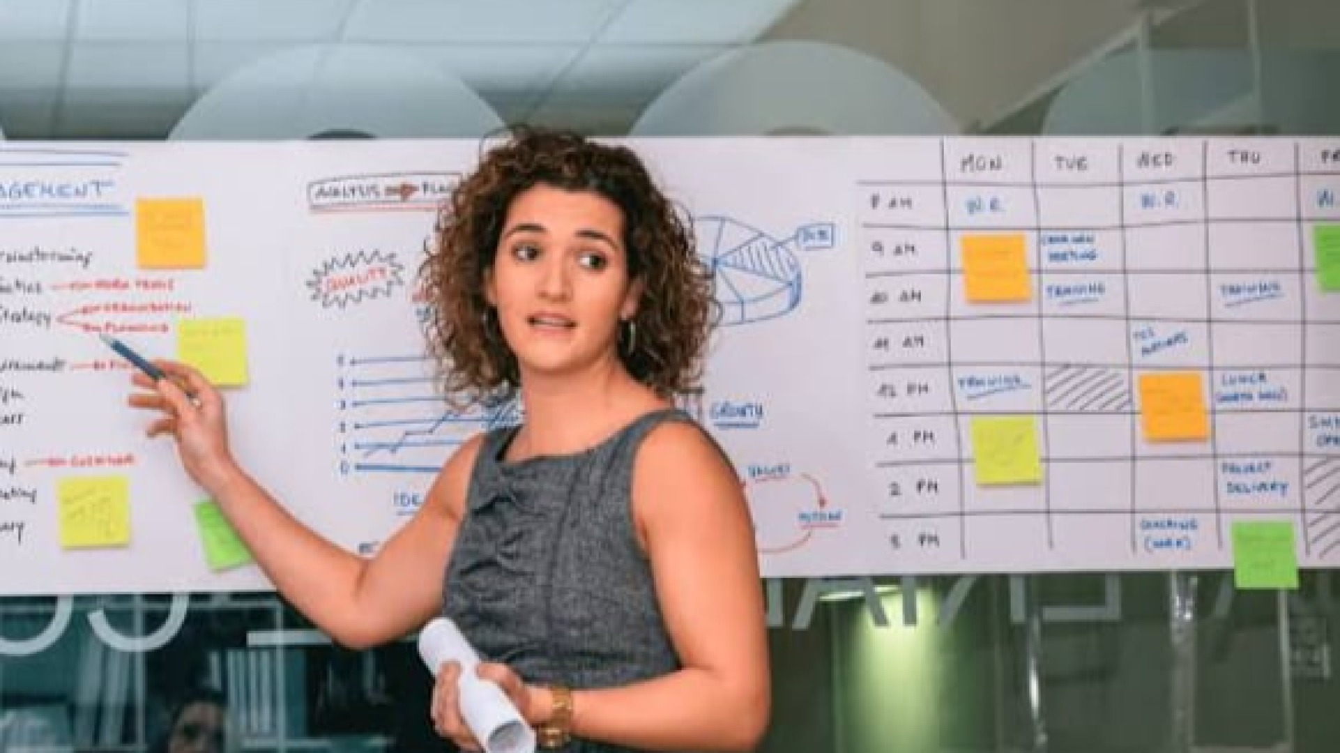 Gerente de Projetos