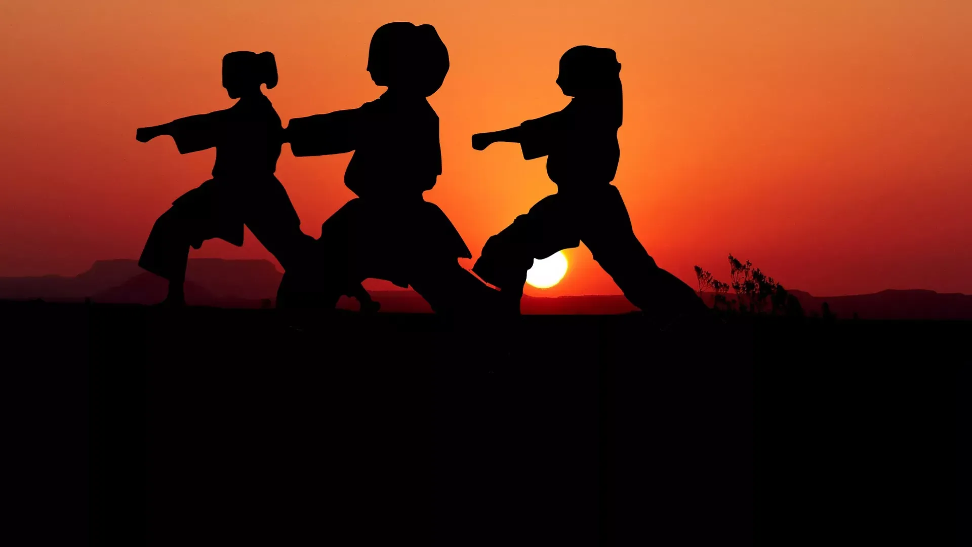 PROFESSOR(A) DE ARTES MARCIAIS