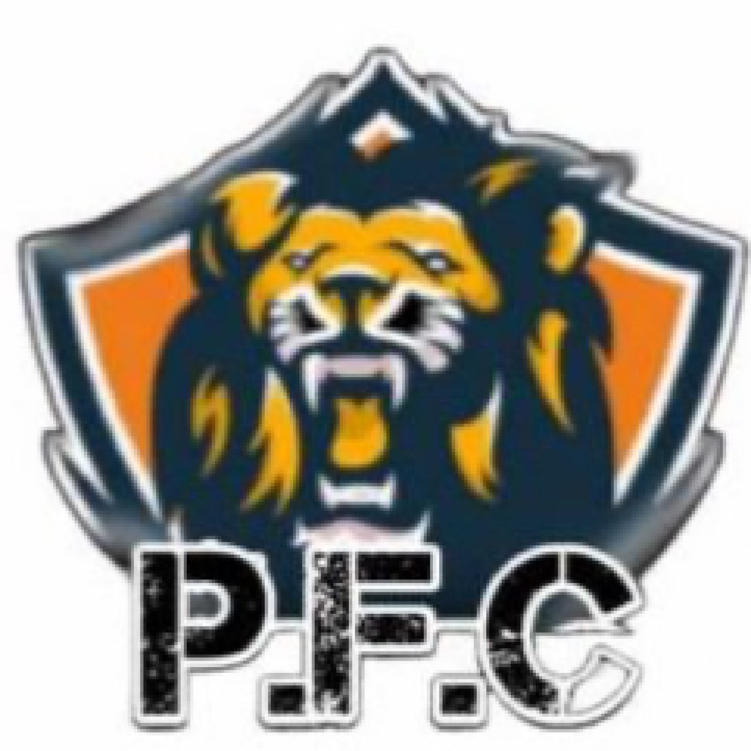 Associação Esportiva Projeto Peniel 